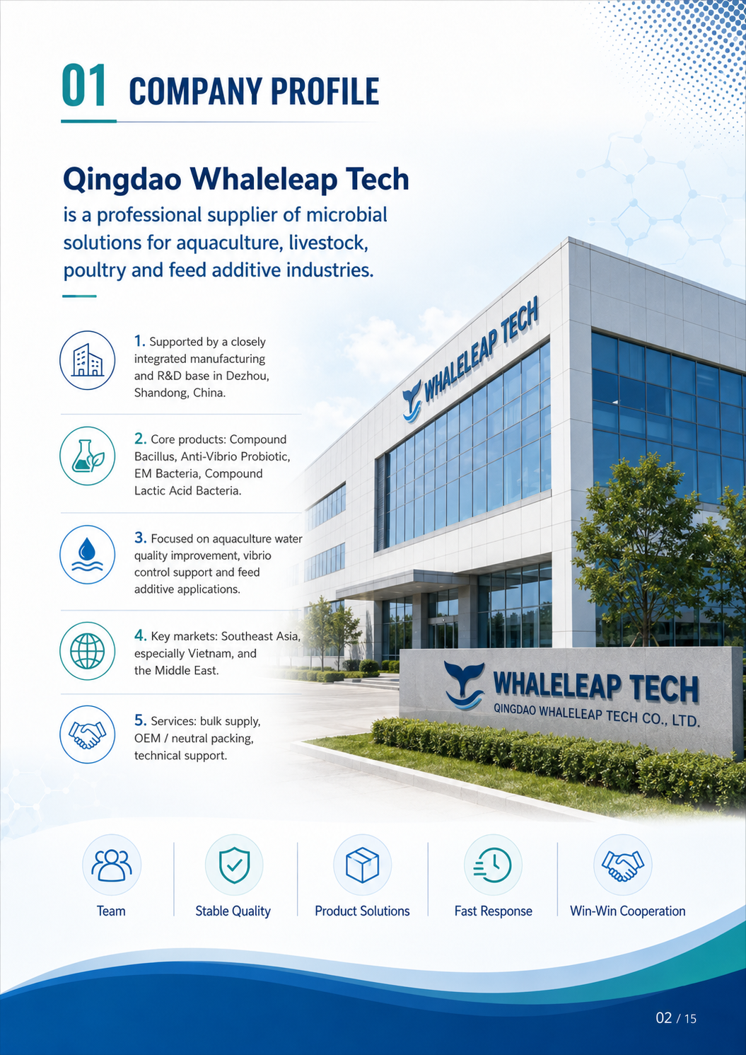 Qingdao Whaleleap Tech global supplier profile