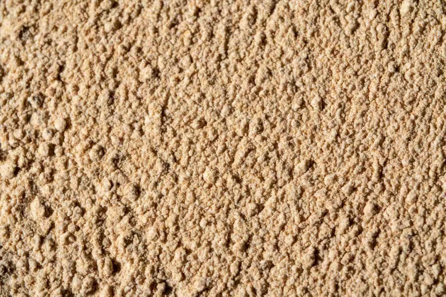 Physical appearance of Whaleleap Compound Bacillus aquaculture probiotic powder