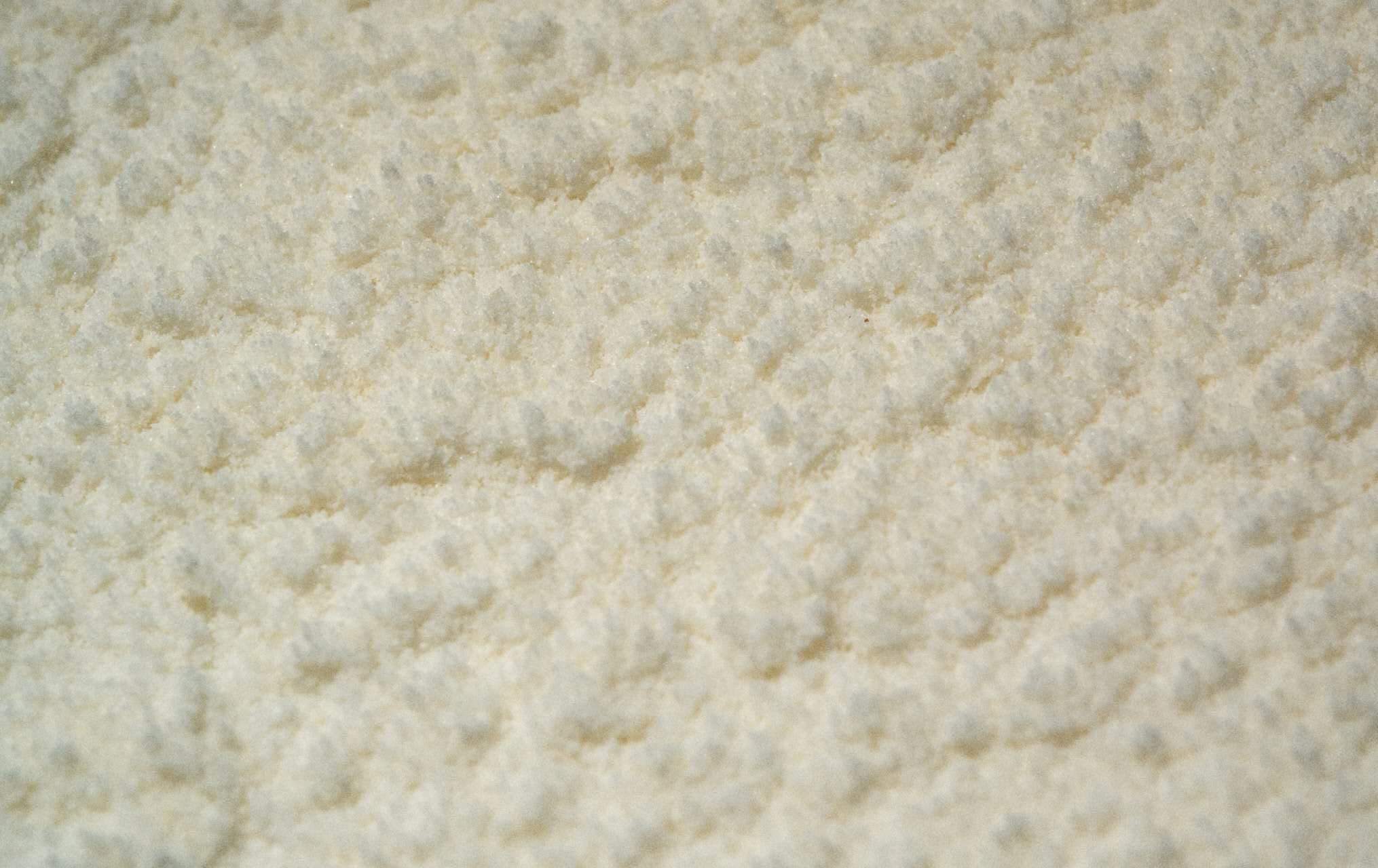 Physical appearance of Whaleleap Compound Lactic Acid Bacteria probiotic powder